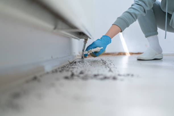 Best Mosquito Control Services  in Wailea, HI